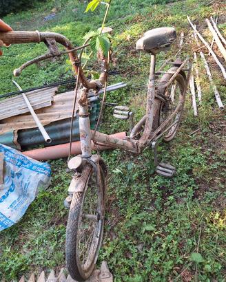 Bicicletta Morando