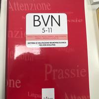 BVN batteria di test.