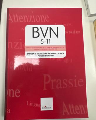 BVN batteria di test.