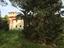 Immagine 13
