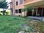 Immagine 18