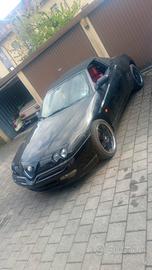alfa romeo spider 