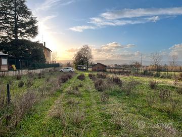 TERRENO AGRICOLO località IL MATTO, AREZZO