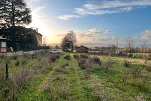 TERRENO AGRICOLO località IL MATTO, AREZZO