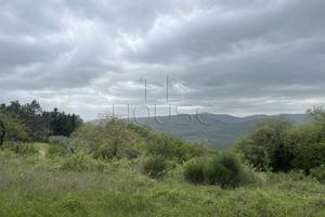 Terreno di 6000 m² a Umbertide