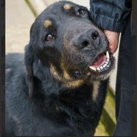 ZELDA sono una giovane patatona