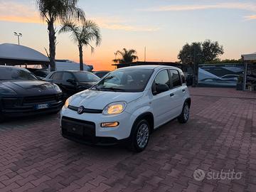 Fiat Panda 1.0 FireFly S&S Hybrid immatricolata N1