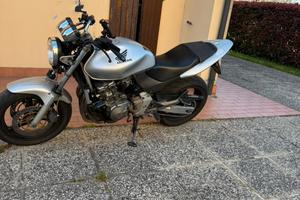 Honda hornet