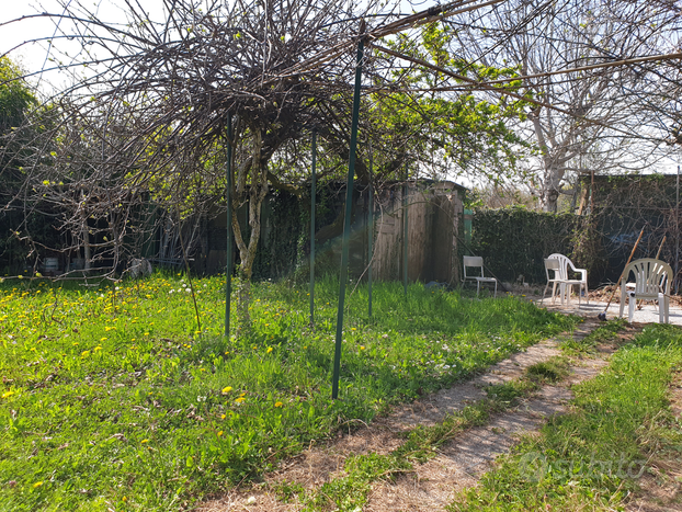 Orto Terreno Agricolo