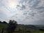 Immagine 18