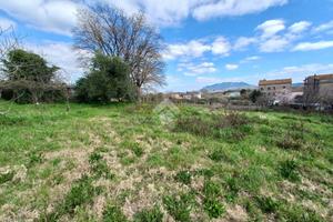 CASA INDIPENDENTE A CALCATA