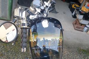 SUZUKI VS 800 PERFETTA