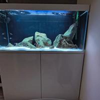 acquario 240 litri COMPLETO!