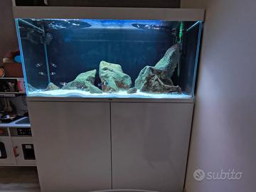 acquario 240 litri COMPLETO!