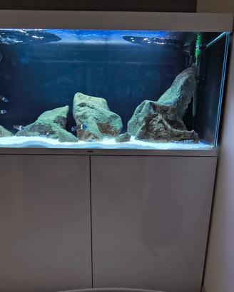 acquario 240 litri COMPLETO!