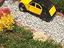 Immagine 4