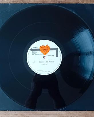 Disco vinile Lyrical - Tribute to Major + Scorpion