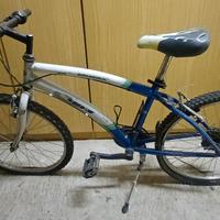 Bicicletta