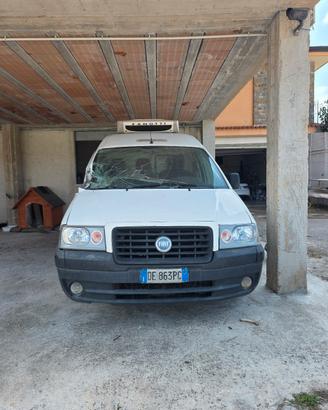 fiat scudo frigo 