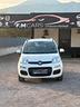 fiat-panda-0-9-twinair-turbo-natural-power-pop-201