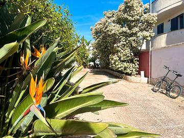 Monolocali Vicino al Mare Porto Cesareo