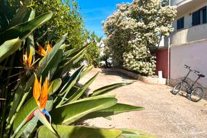 Monolocali Vicino al Mare Porto Cesareo