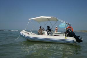 GOMMONE ZODIAC 5.30