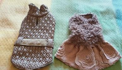 Vestiti Cihuahua Toy