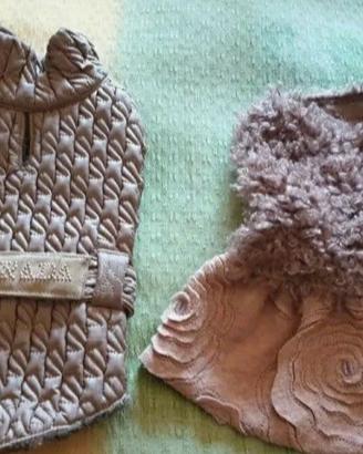 Vestiti Cihuahua Toy