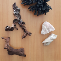 Accessori acquario