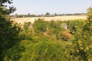 Terreno Agricolo 3 Biolche pari 9000 metri