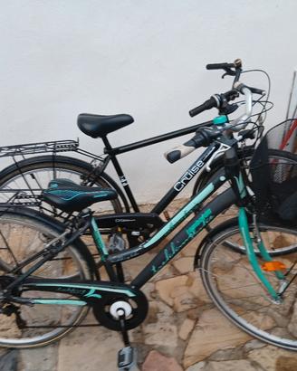 Bici da passeggio