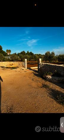 Terreno agricolo zona Sannicola - Gallipoli