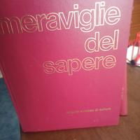 Enciclopedia MERAVIGLIE DEL SAPERE 