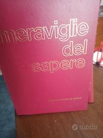 Enciclopedia MERAVIGLIE DEL SAPERE 