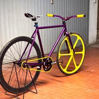Bicicletta fixed
