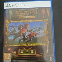 Harry potter campioni di quiddich ps5 