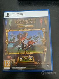 Harry potter campioni di quiddich ps5 