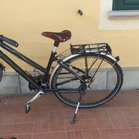 Bici trekking Simplon