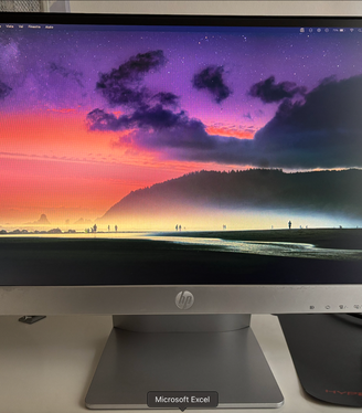 Monitor HP 22 pollici - Mod. Paillion 22 XI