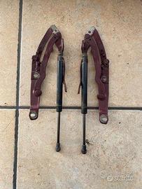 Cerniere più pistoncini portellone post BMW Z4 E85