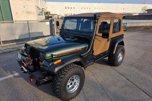 JEEP Wrangler 4.0 cat Hardtop Limited