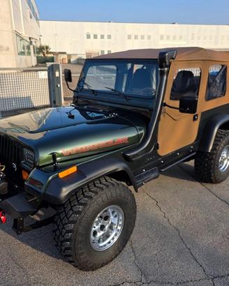 JEEP Wrangler 4.0 cat Hardtop Limited
