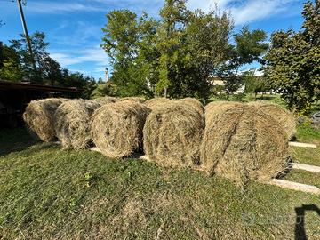 Balle di fieno