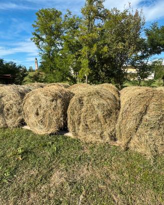Balle di fieno