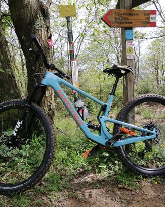 Santa Cruz Tallboy C