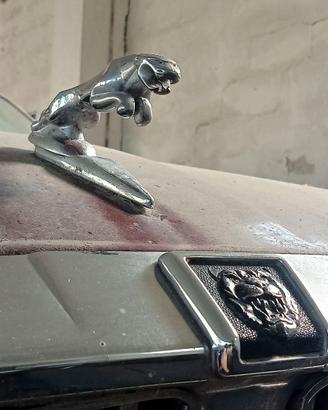 FANALE  POSTERIORE SX JAGUAR  SOVEREIGN 4.2