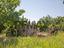 Immagine 26
