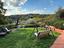 Immagine 10