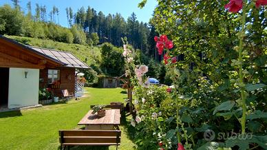 Appartamento vacanze montagna Valsugana